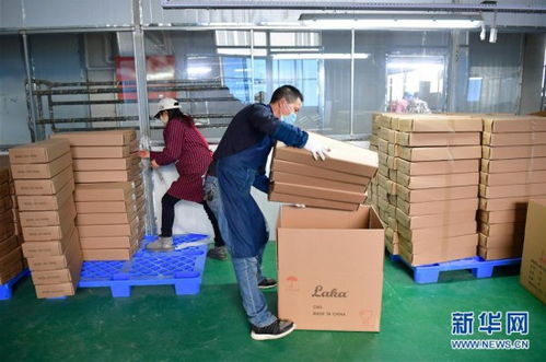 陕西城固乐器厂复工忙，乐器零售市场焕发新生机