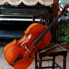 泰兴市韵音乐器厂 专业乐器零售，专注提琴品质