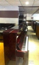 温州市南浦宁乐琴行 乐器批发与零售的专业之选