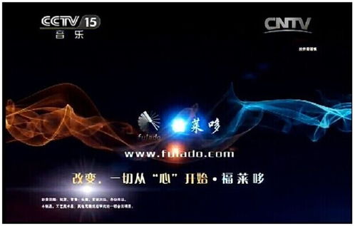 福莱哆乐器城 专业乐器零售与精致店铺体验