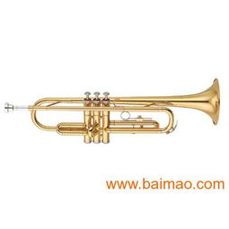 专业乐器供应 批发零售全新原装正品雅马哈、卡西欧、美德理、罗兰电子琴