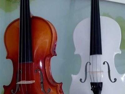 北京批发零售儿童提琴仓储式销售 大提琴与小提琴价格探秘与半价优惠策略